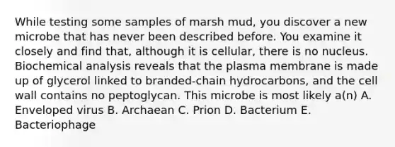 While testing some samples of marsh mud, you discover a new microbe that has never been described before. You examine it closely and find that, although it is cellular, there is no nucleus. Biochemical analysis reveals that the plasma membrane is made up of glycerol linked to branded-chain hydrocarbons, and the cell wall contains no peptoglycan. This microbe is most likely a(n) A. Enveloped virus B. Archaean C. Prion D. Bacterium E. Bacteriophage