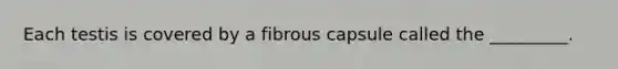 Each testis is covered by a fibrous capsule called the _________.