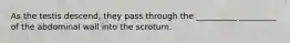 As the testis descend, they pass through the __________ _________ of the abdominal wall into the scrotum.