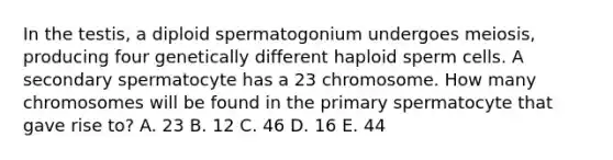 In the testis, a diploid spermatogonium undergoes meiosis, producing four genetically different haploid sperm cells. A secondary spermatocyte has a 23 chromosome. How many chromosomes will be found in the primary spermatocyte that gave rise to? A. 23 B. 12 C. 46 D. 16 E. 44