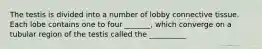 The testis is divided into a number of lobby connective tissue. Each lobe contains one to four _______, which converge on a tubular region of the testis called the __________