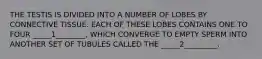 THE TESTIS IS DIVIDED INTO A NUMBER OF LOBES BY CONNECTIVE TISSUE. EACH OF THESE LOBES CONTAINS ONE TO FOUR _____1________, WHICH CONVERGE TO EMPTY SPERM INTO ANOTHER SET OF TUBULES CALLED THE _____2_________.