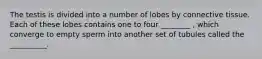 The testis is divided into a number of lobes by connective tissue. Each of these lobes contains one to four ________ , which converge to empty sperm into another set of tubules called the __________.