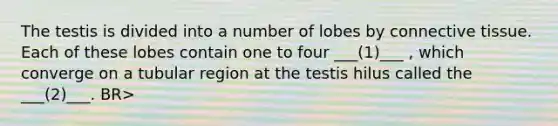 The testis is divided into a number of lobes by connective tissue. Each of these lobes contain one to four ___(1)___ , which converge on a tubular region at the testis hilus called the ___(2)___. BR>