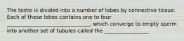 The testis is divided into a number of lobes by connective tissue. Each of these lobes contains one to four ________________________________, which converge to empty sperm into another set of tubules called the _________________