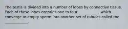The testis is divided into a number of lobes by connective tissue. Each of these lobes contains one to four ___________, which converge to empty sperm into another set of tubules called the _____________.