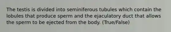 The testis is divided into seminiferous tubules which contain the lobules that produce sperm and the ejaculatory duct that allows the sperm to be ejected from the body. (True/False)