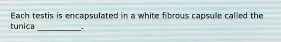 Each testis is encapsulated in a white fibrous capsule called the tunica ___________.