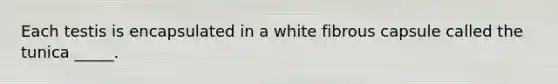 Each testis is encapsulated in a white fibrous capsule called the tunica _____.