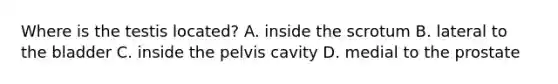 Where is the testis located? A. inside the scrotum B. lateral to the bladder C. inside the pelvis cavity D. medial to the prostate