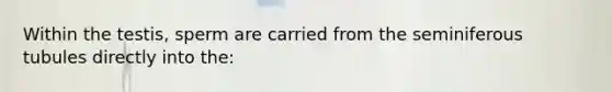 Within the testis, sperm are carried from the seminiferous tubules directly into the: