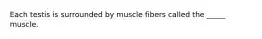 Each testis is surrounded by muscle fibers called the _____ muscle.