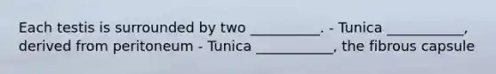 Each testis is surrounded by two __________. - Tunica ___________, derived from peritoneum - Tunica ___________, the fibrous capsule