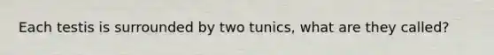 Each testis is surrounded by two tunics, what are they called?