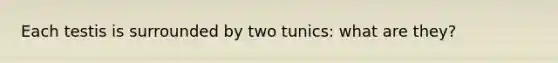 Each testis is surrounded by two tunics: what are they?