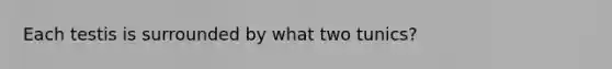 Each testis is surrounded by what two tunics?
