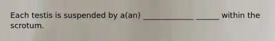 Each testis is suspended by a(an) _____________ ______ within the scrotum.