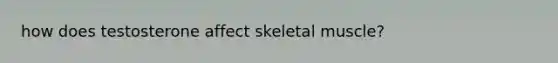 how does testosterone affect skeletal muscle?