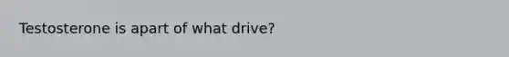 Testosterone is apart of what drive?