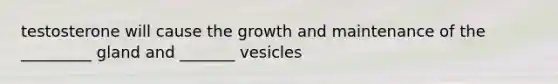 testosterone will cause the growth and maintenance of the _________ gland and _______ vesicles