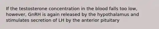 If the testosterone concentration in the blood falls too low, however, GnRH is again released by the hypothalamus and stimulates secretion of LH by the anterior pituitary