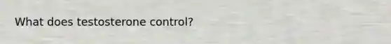 What does testosterone control?