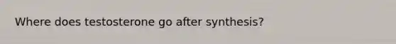 Where does testosterone go after synthesis?