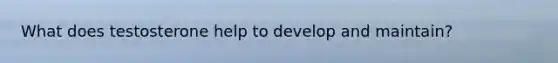 What does testosterone help to develop and maintain?