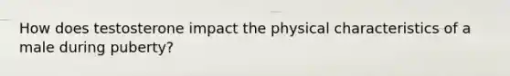 How does testosterone impact the physical characteristics of a male during puberty?