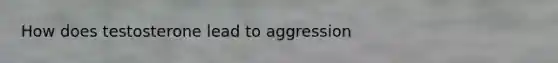 How does testosterone lead to aggression