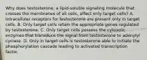 Why does testosterone, a lipid-soluble signaling molecule that crosses the membranes of all cells, affect only target cells? A. Intracellular receptors for testosterone are present only in target cells. B. Only target cells retain the appropriate genes regulated by testosterone. C. Only target cells possess the cytosolic enzymes that transduce the signal from testosterone to adenylyl cyclase. D. Only in target cells is testosterone able to initiate the phosphorylation cascade leading to activated transcription factor.