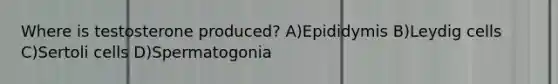 Where is testosterone produced? A)Epididymis B)Leydig cells C)Sertoli cells D)Spermatogonia