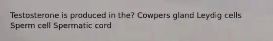 Testosterone is produced in the? Cowpers gland Leydig cells Sperm cell Spermatic cord