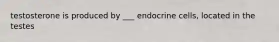 testosterone is produced by ___ endocrine cells, located in the testes