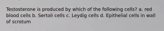 Testosterone is produced by which of the following cells? a. red blood cells b. Sertoli cells c. Leydig cells d. Epithelial cells in wall of scrotum