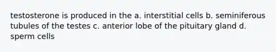 testosterone is produced in the a. interstitial cells b. seminiferous tubules of the testes c. anterior lobe of the pituitary gland d. sperm cells