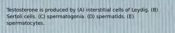 Testosterone is produced by (A) interstitial cells of Leydig. (B) Sertoli cells. (C) spermatogonia. (D) spermatids. (E) spermatocytes.