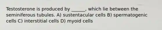 Testosterone is produced by ______, which lie between the seminiferous tubules. A) sustentacular cells B) spermatogenic cells C) interstitial cells D) myoid cells