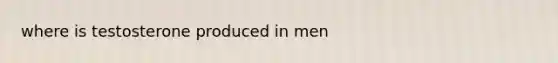 where is testosterone produced in men