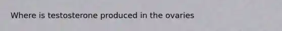 Where is testosterone produced in the ovaries