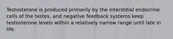 Testosterone is produced primarily by the interstitial endocrine cells of the testes, and negative feedback systems keep testosterone levels within a relatively narrow range until late in life.