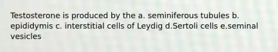 Testosterone is produced by the a. seminiferous tubules b. epididymis c. interstitial cells of Leydig d.Sertoli cells e.seminal vesicles