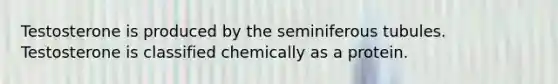 Testosterone is produced by the seminiferous tubules. Testosterone is classified chemically as a protein.