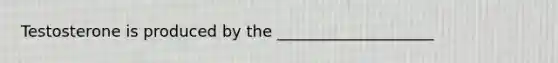 Testosterone is produced by the ____________________