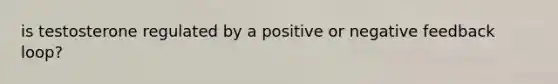 is testosterone regulated by a positive or negative feedback loop?