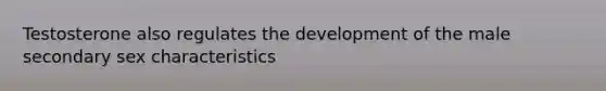 Testosterone also regulates the development of the male secondary sex characteristics