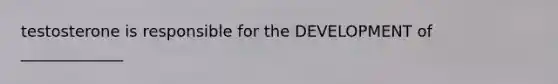 testosterone is responsible for the DEVELOPMENT of _____________