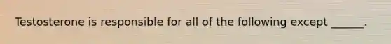 Testosterone is responsible for all of the following except ______.