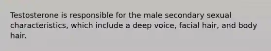 Testosterone is responsible for the male secondary sexual characteristics, which include a deep voice, facial hair, and body hair.