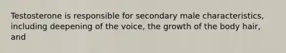 Testosterone is responsible for secondary male characteristics, including deepening of the voice, the growth of the body hair, and